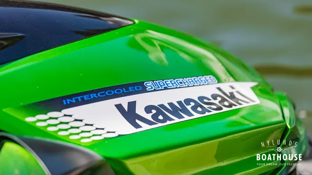 Kawasaki Ultra 300 X