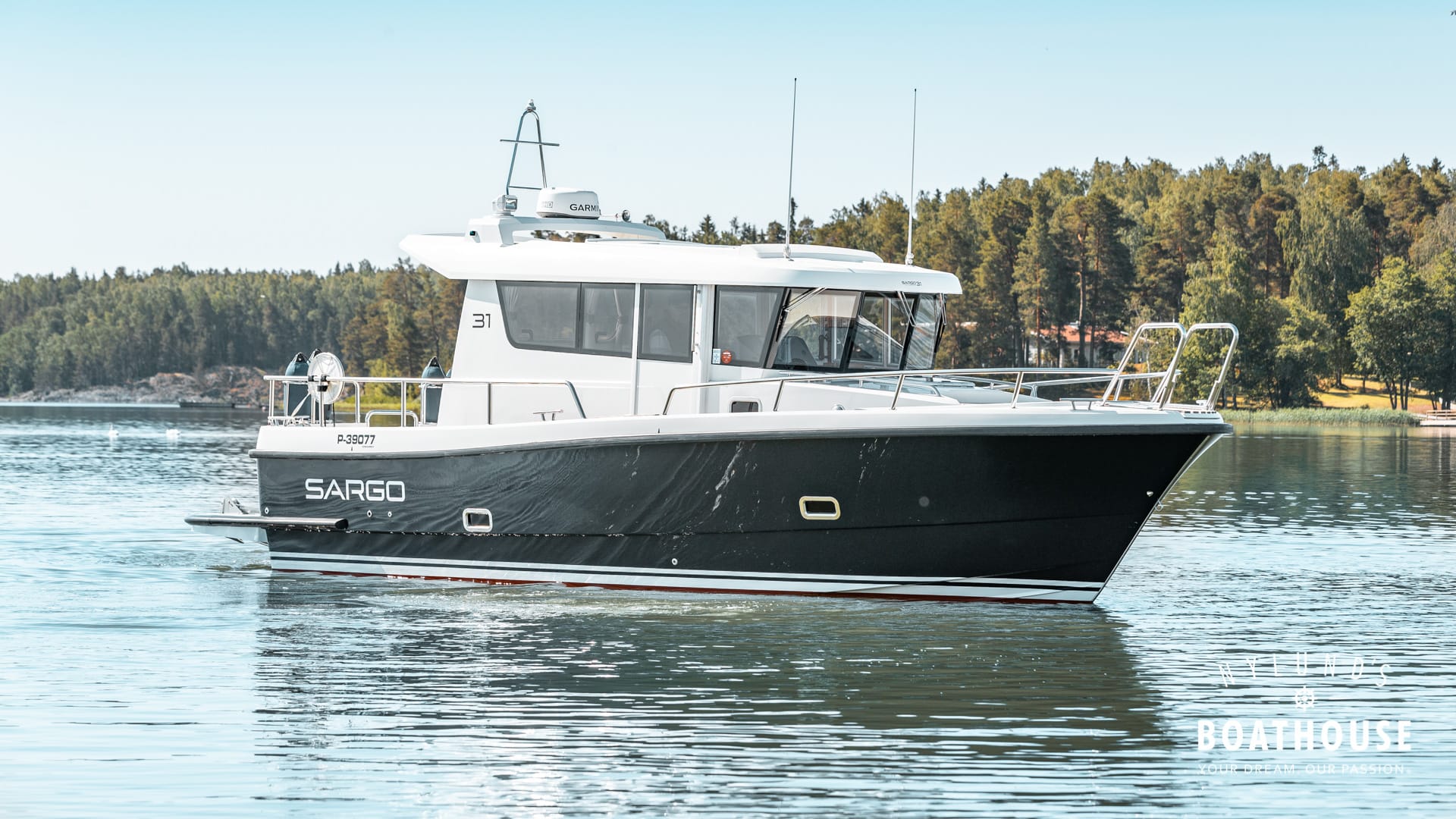 Sargo 31