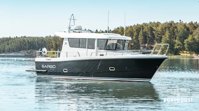 Sargo 31