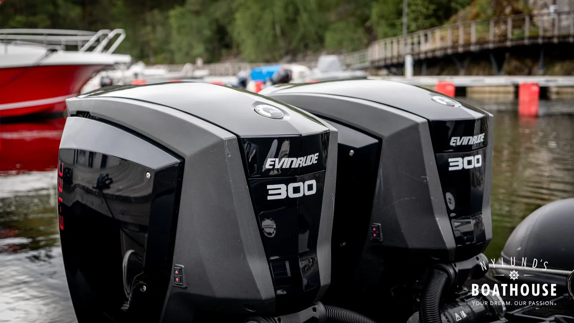 Brig Eagle 10 - Image 4