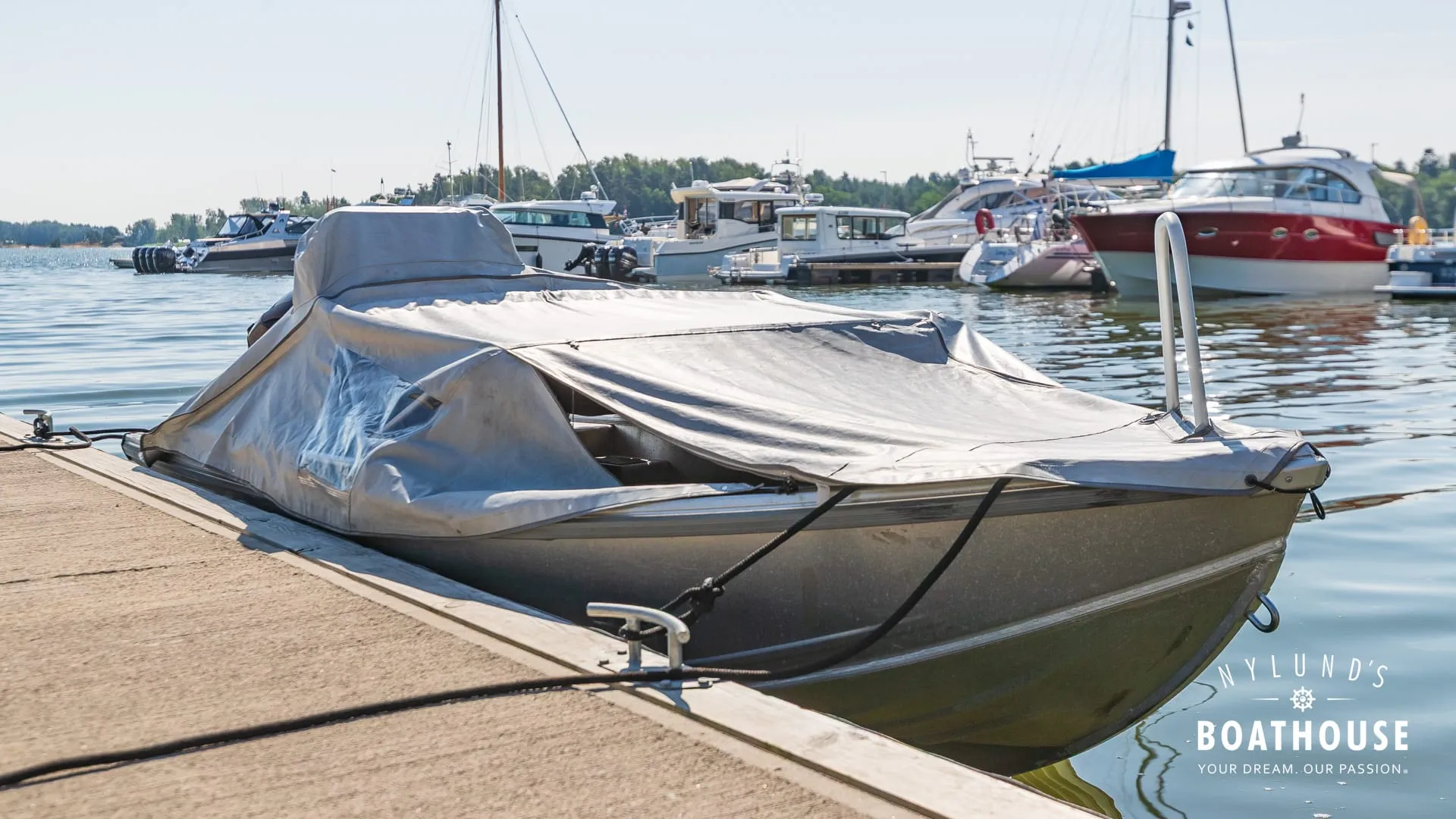 Buster S1 - Image 18