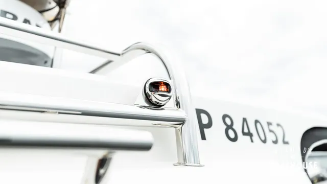 Paragon 31 Cabin