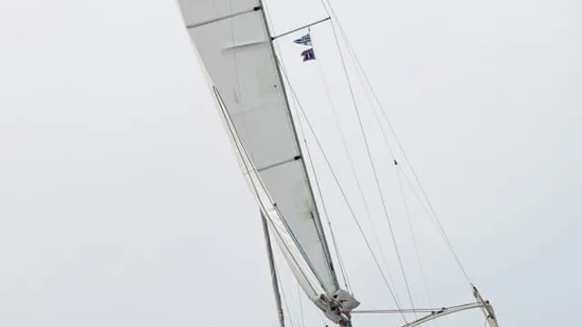 Guyline 3800