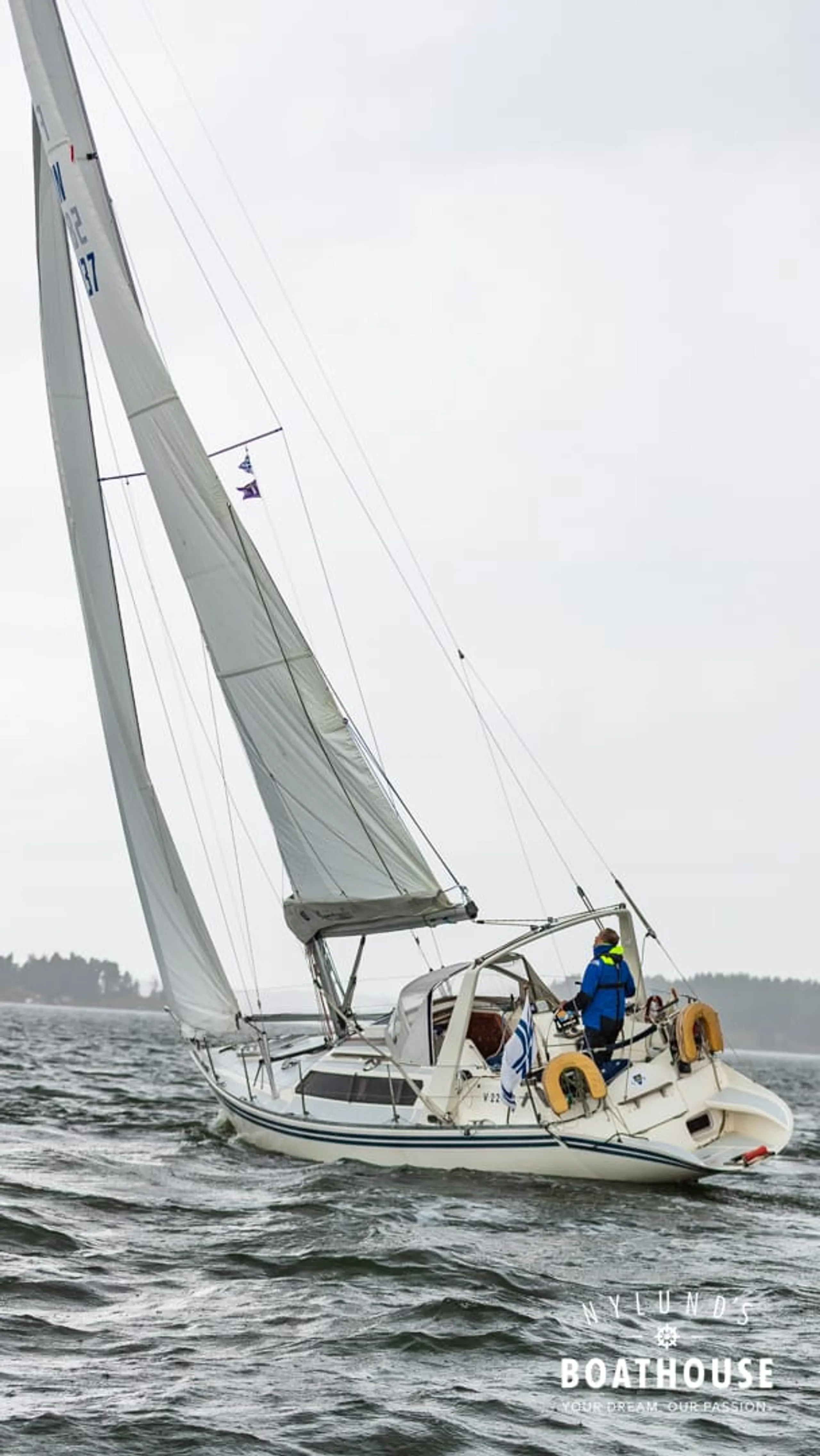 Guyline 3800 - Image 22
