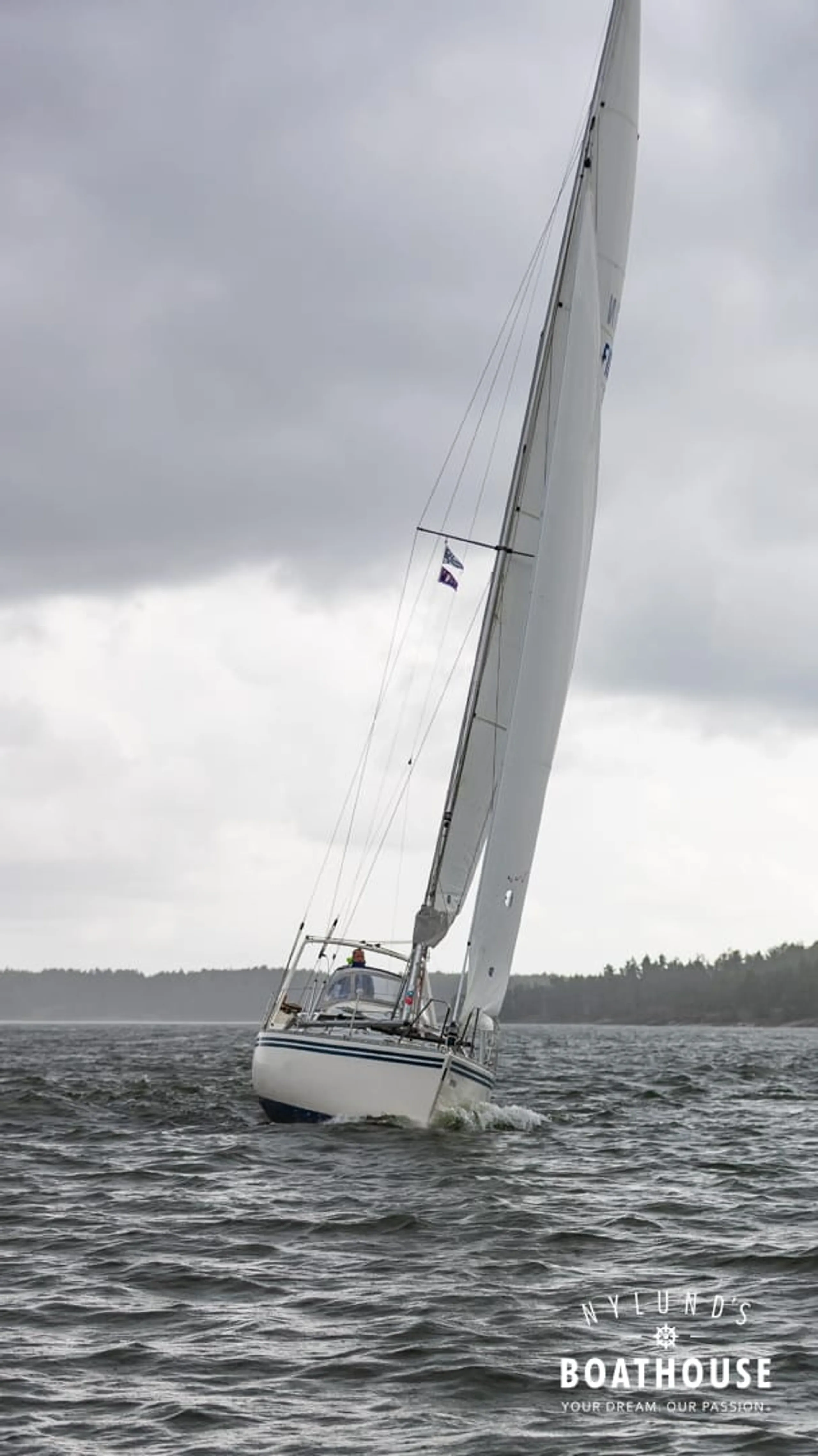 Guyline 3800 - Image 23