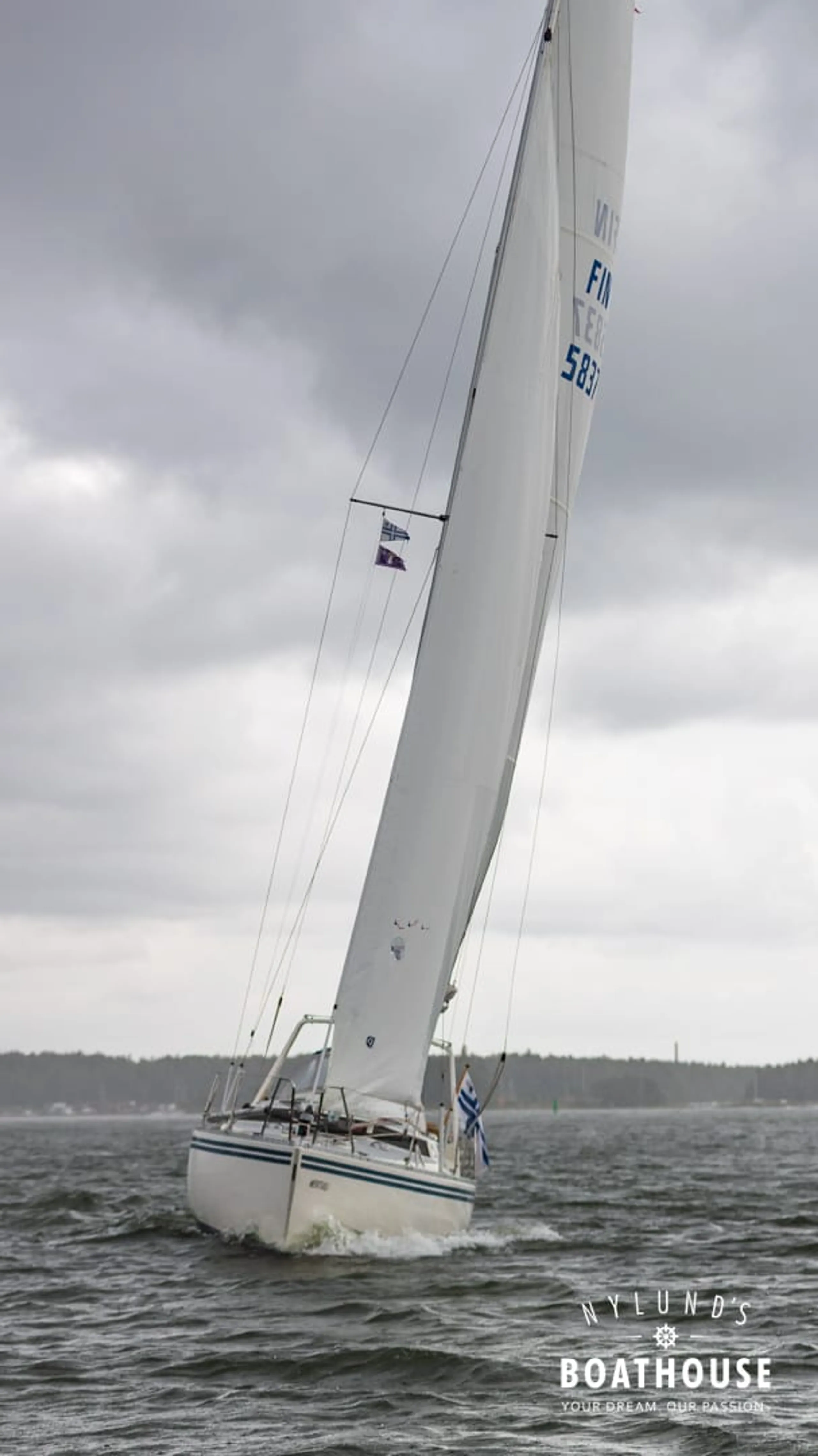 Guyline 3800 - Image 21