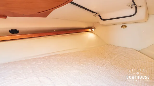 Marino  Shark 29 - Image 12