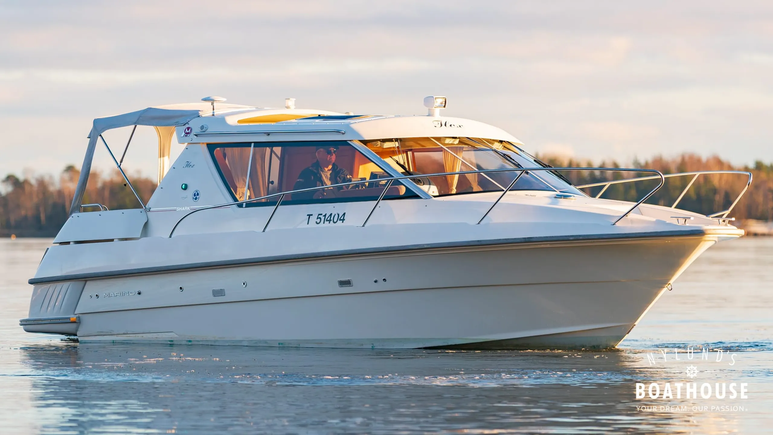 Marino Shark 29 - Image 33