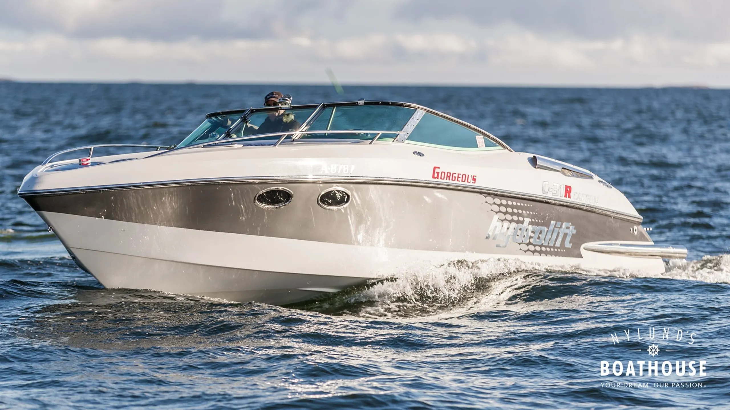 Hydrolift C-31 R Carbon - Image 25