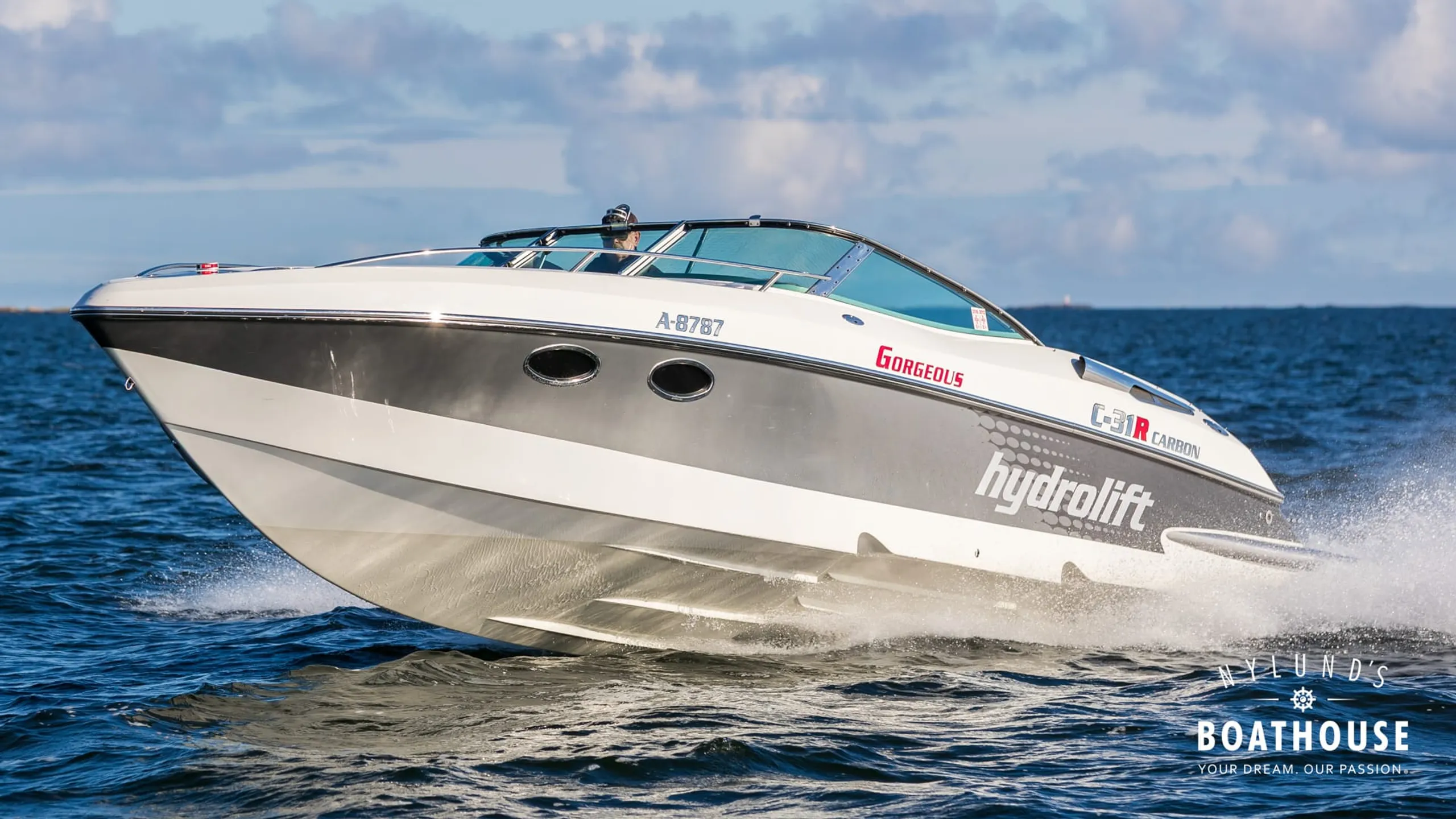 Hydrolift C-31 R Carbon - Image 3
