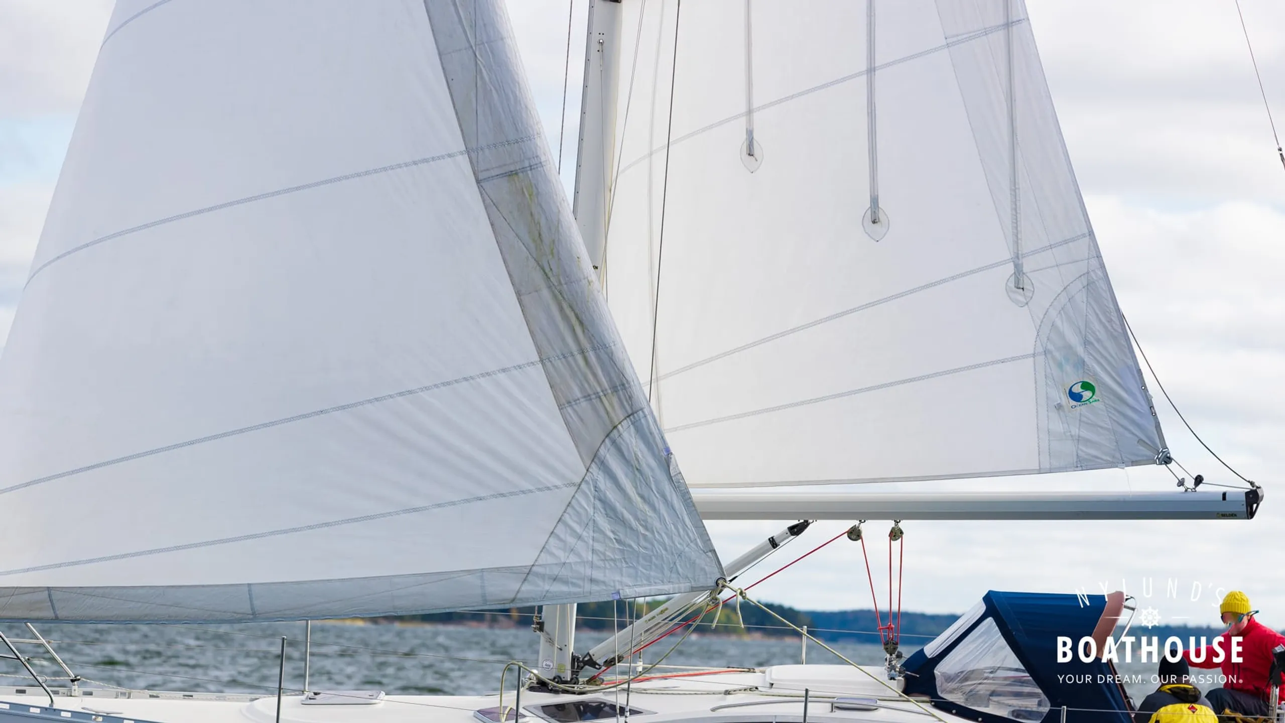 Delphia D37 - Image 24