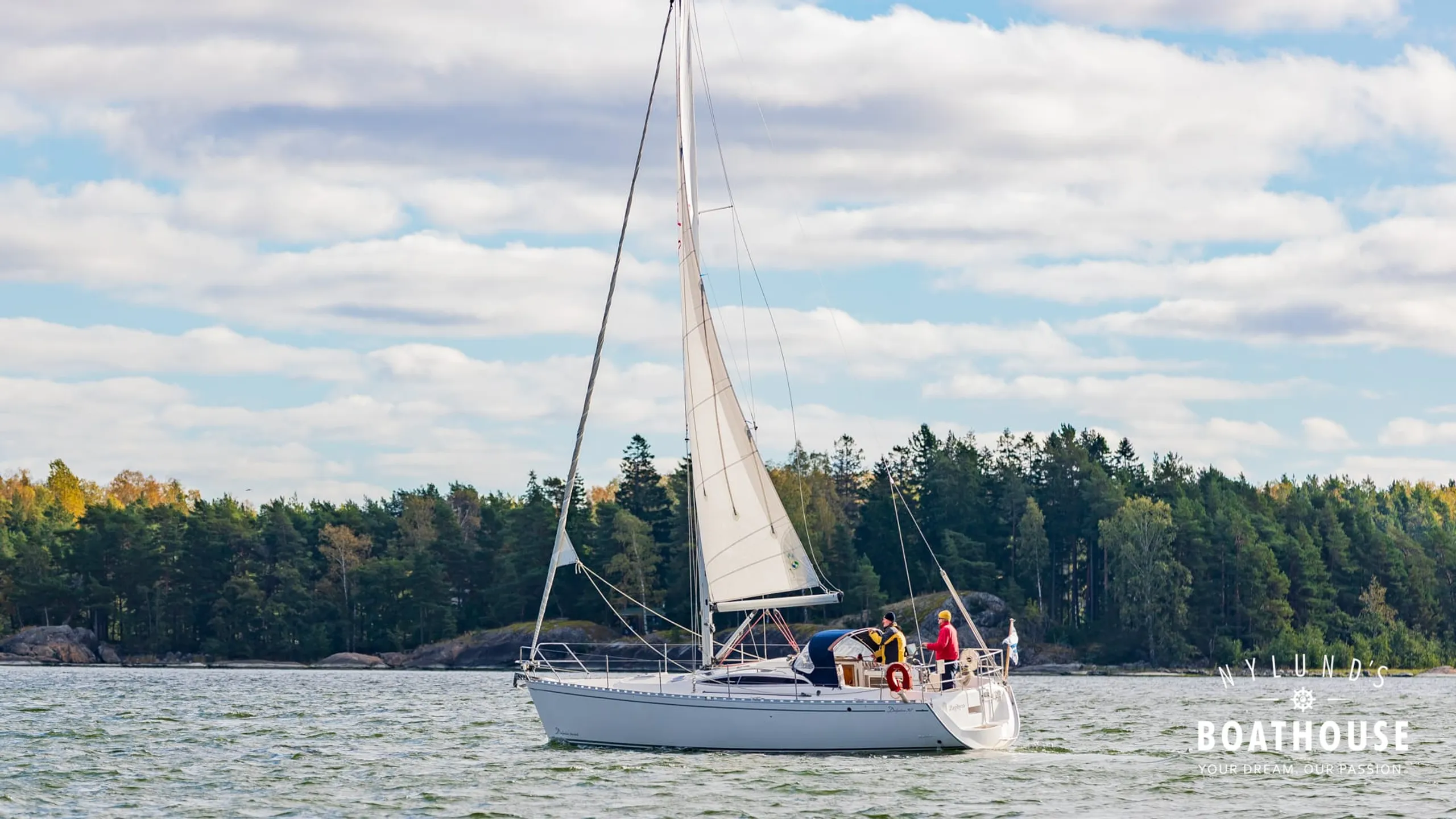Delphia D37 - Image 3