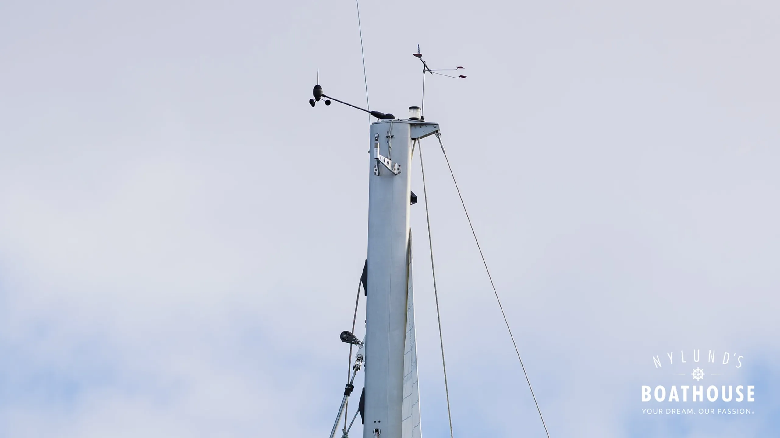 Delphia D37 - Image 6