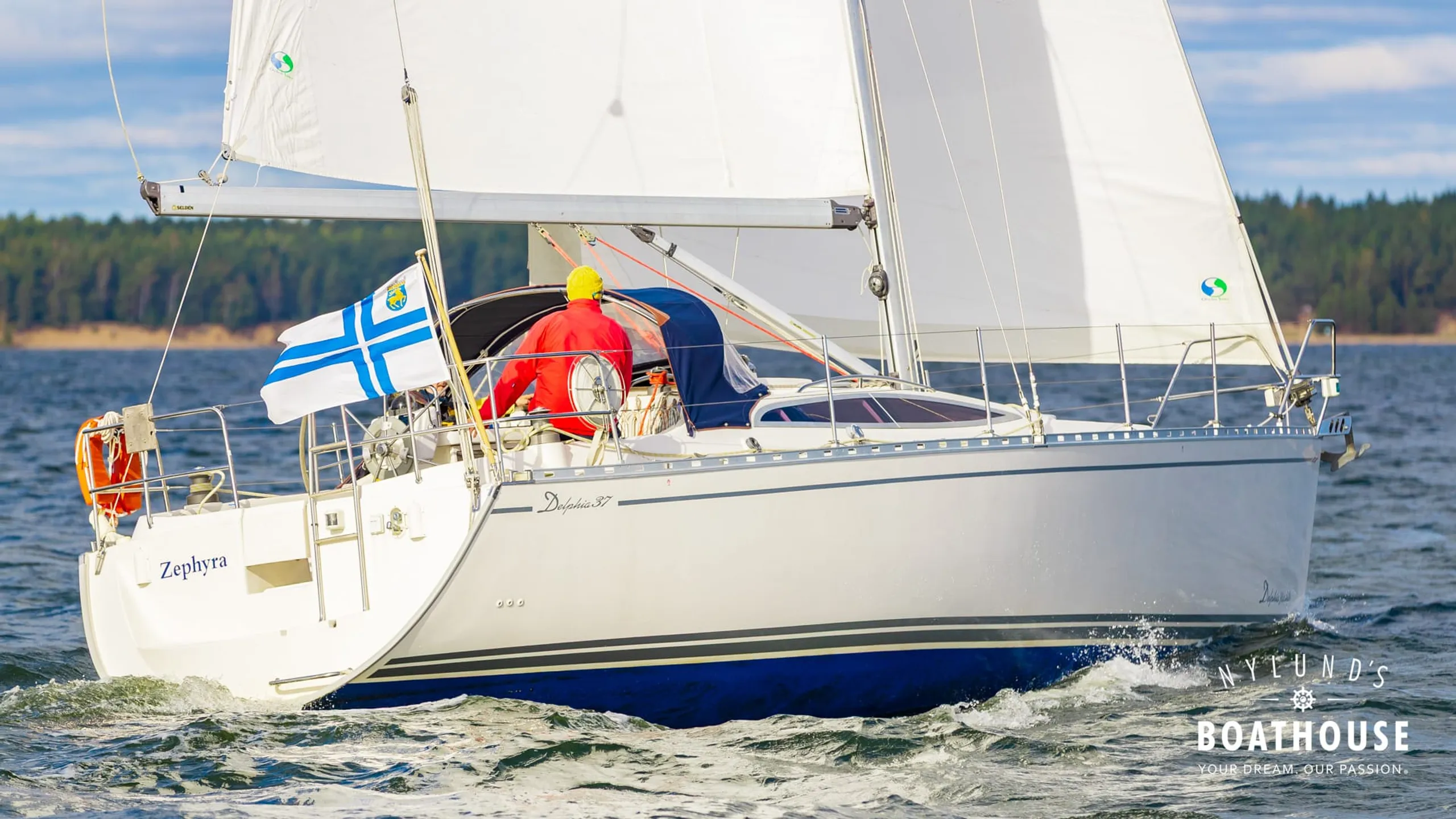 Delphia D37 - Image 25