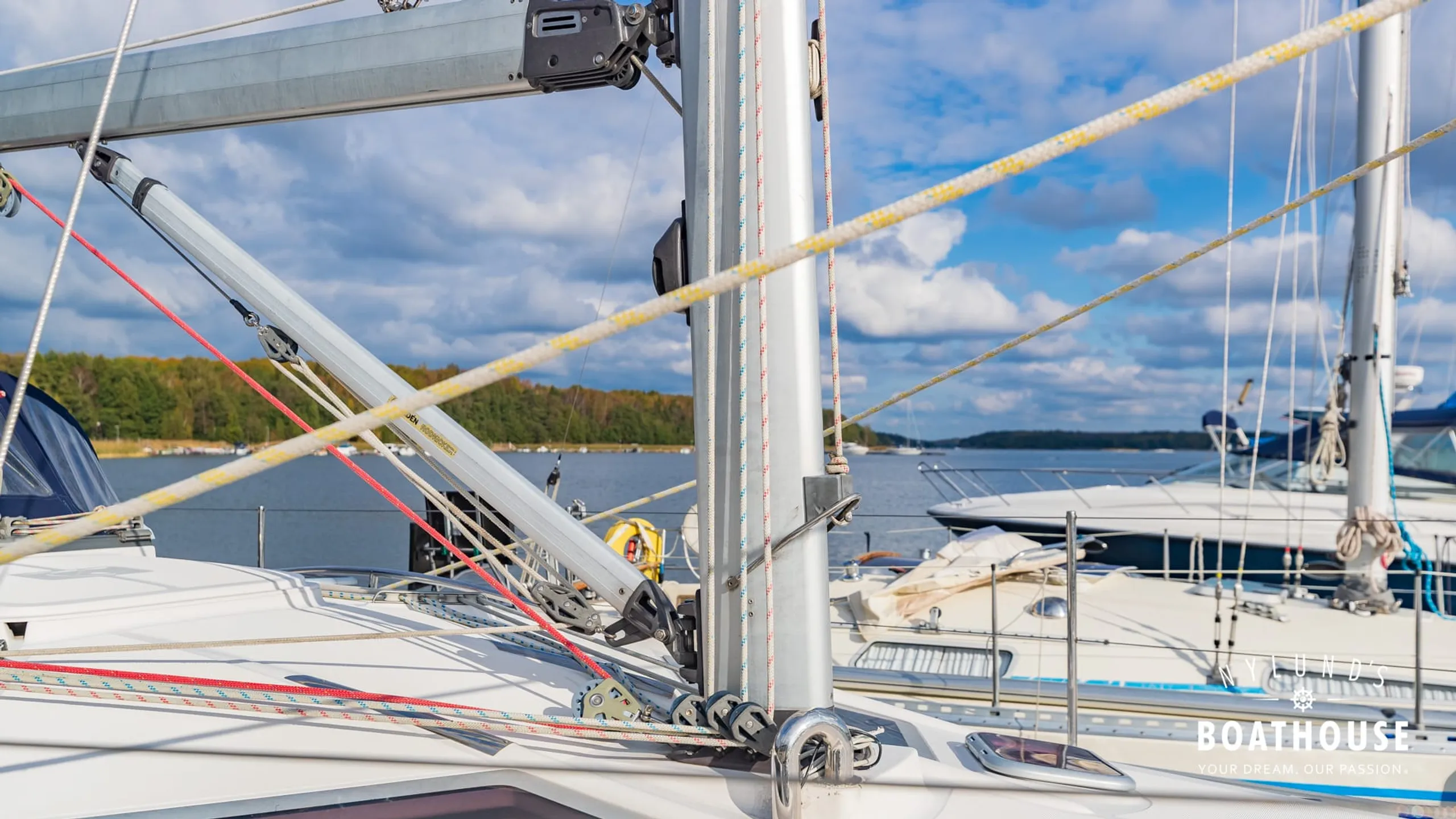 Delphia D37 - Image 84