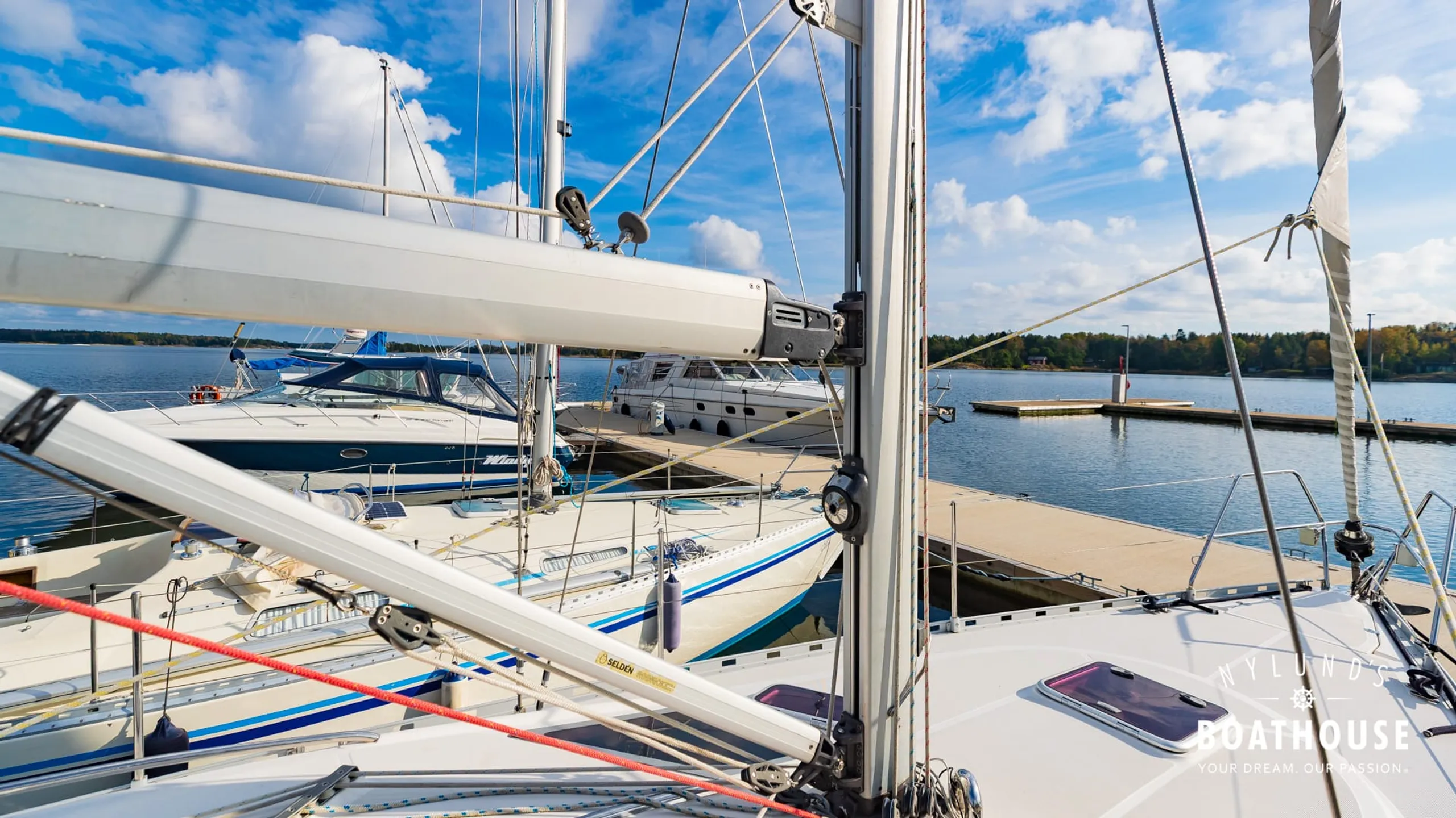 Delphia D37 - Image 117