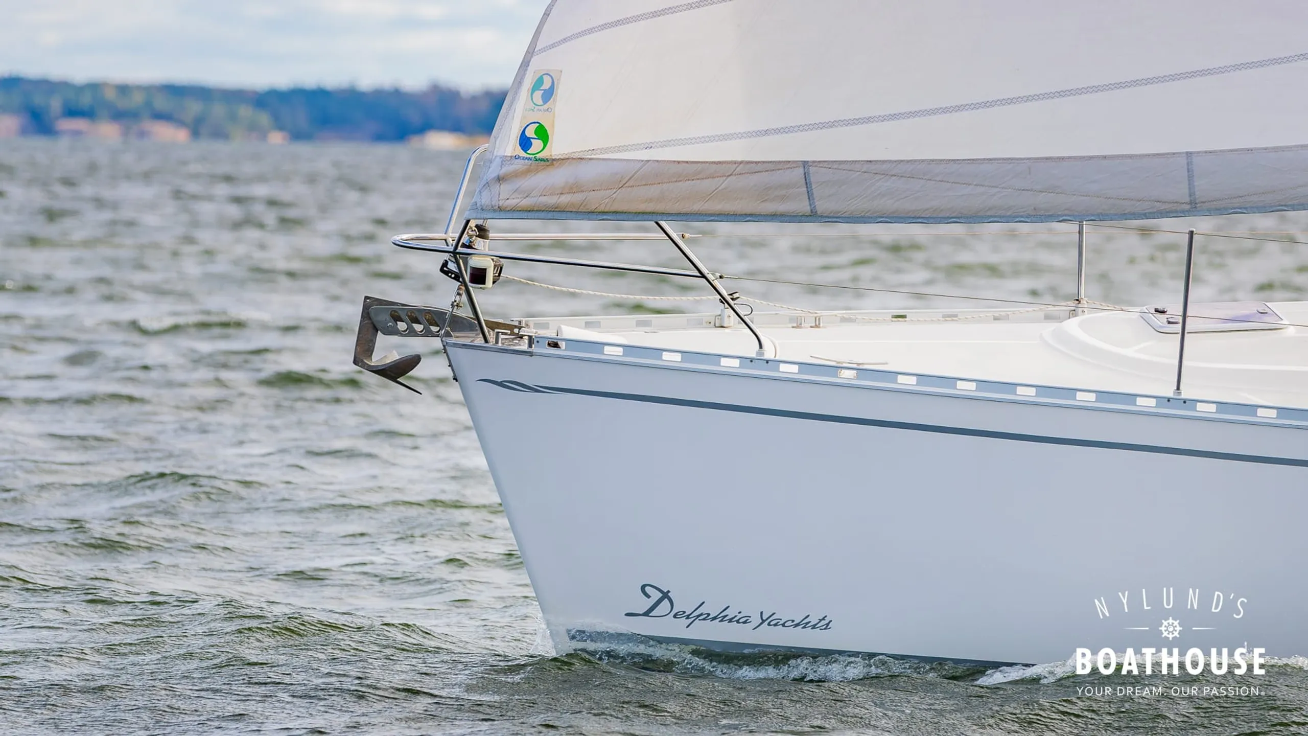 Delphia D37 - Image 38