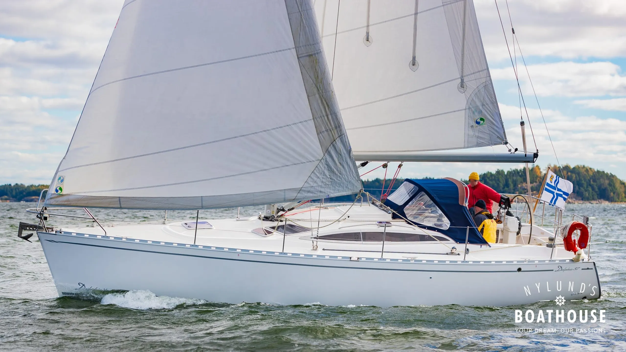 Delphia D37 - Image 23