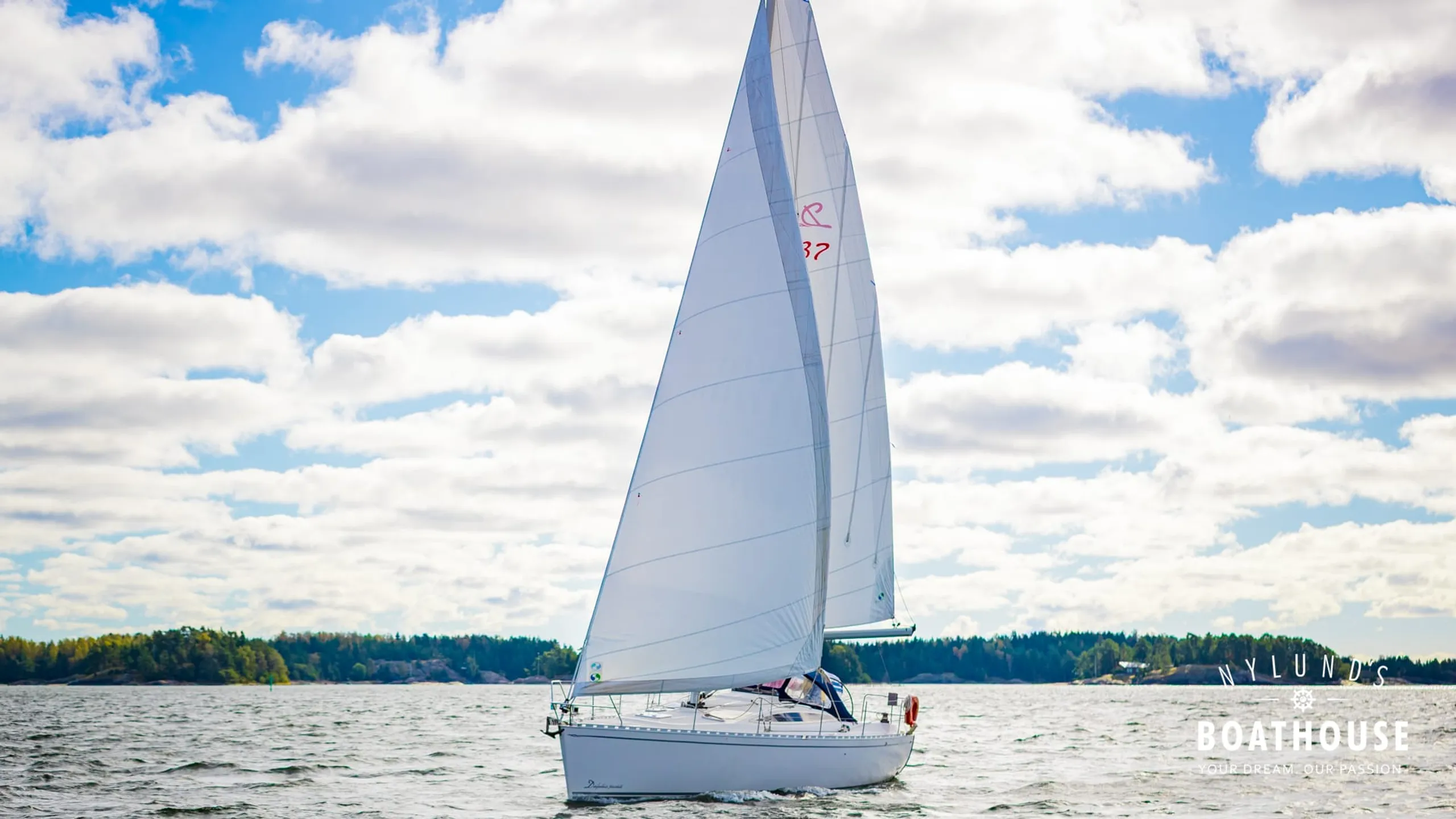 Delphia D37 - Image 14