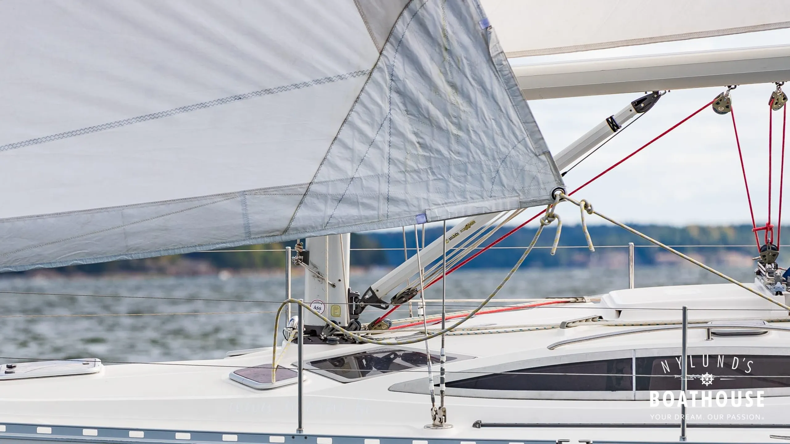 Delphia D37 - Image 41