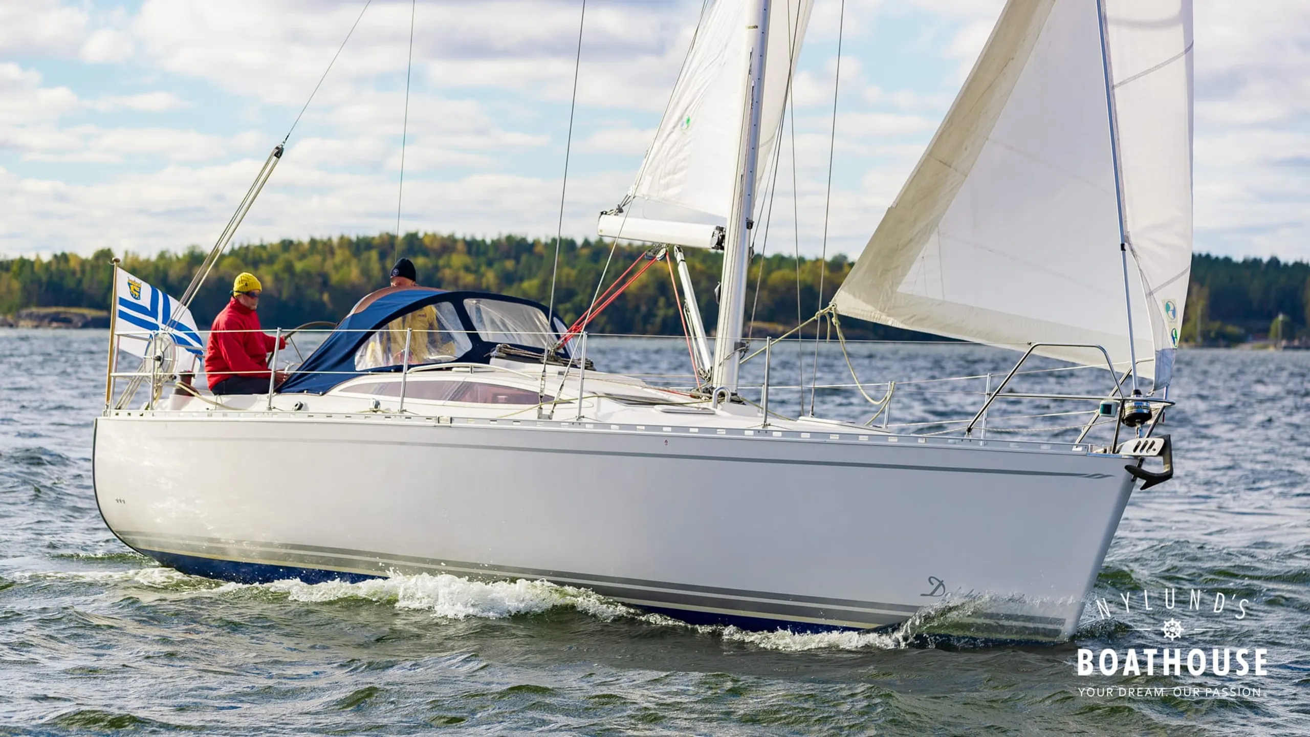 Delphia D37 - Image 20