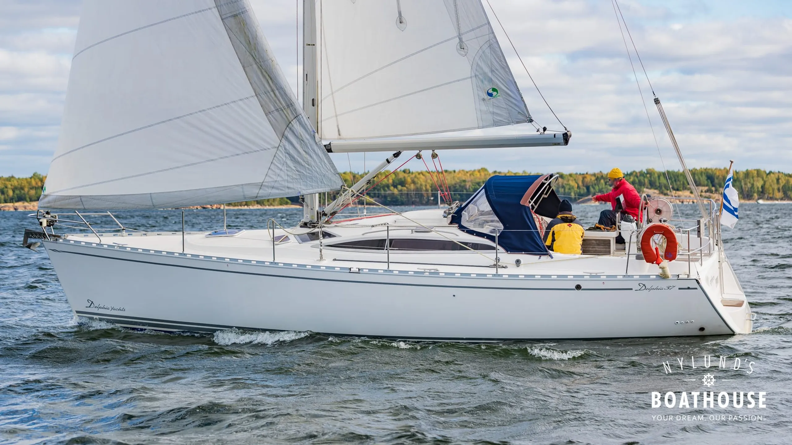 Delphia D37 - Image 34