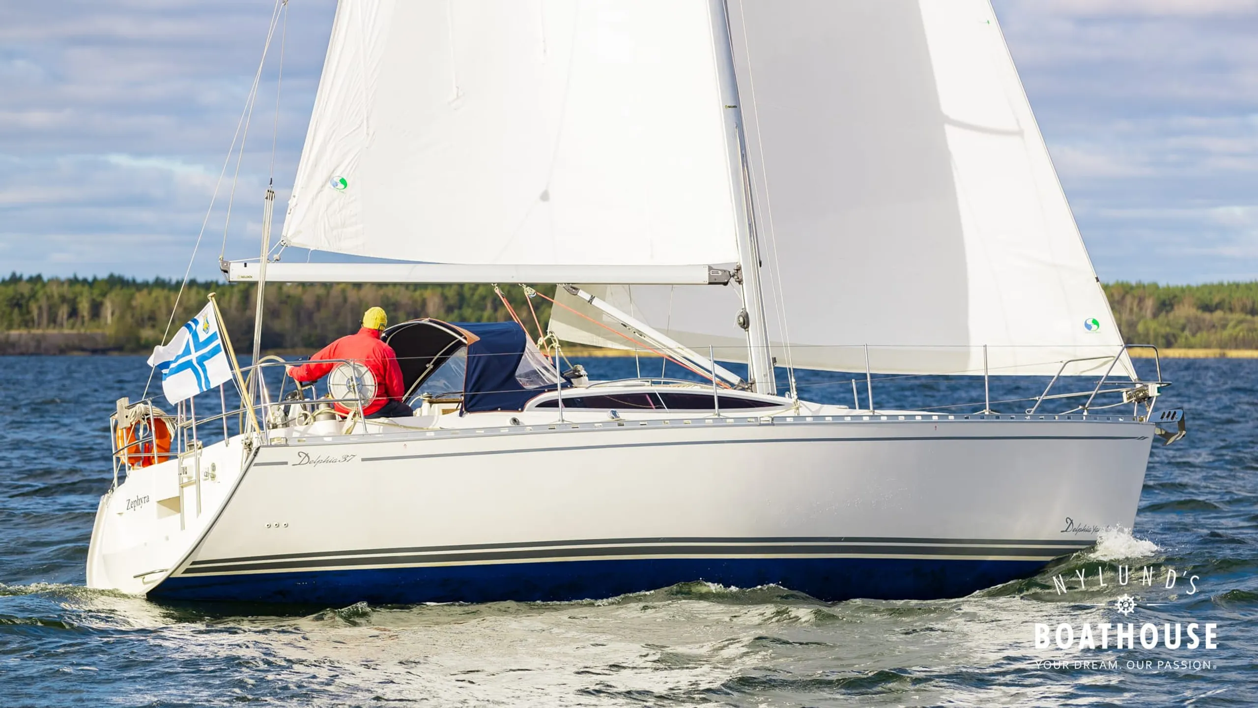 Delphia D37 - Image 40