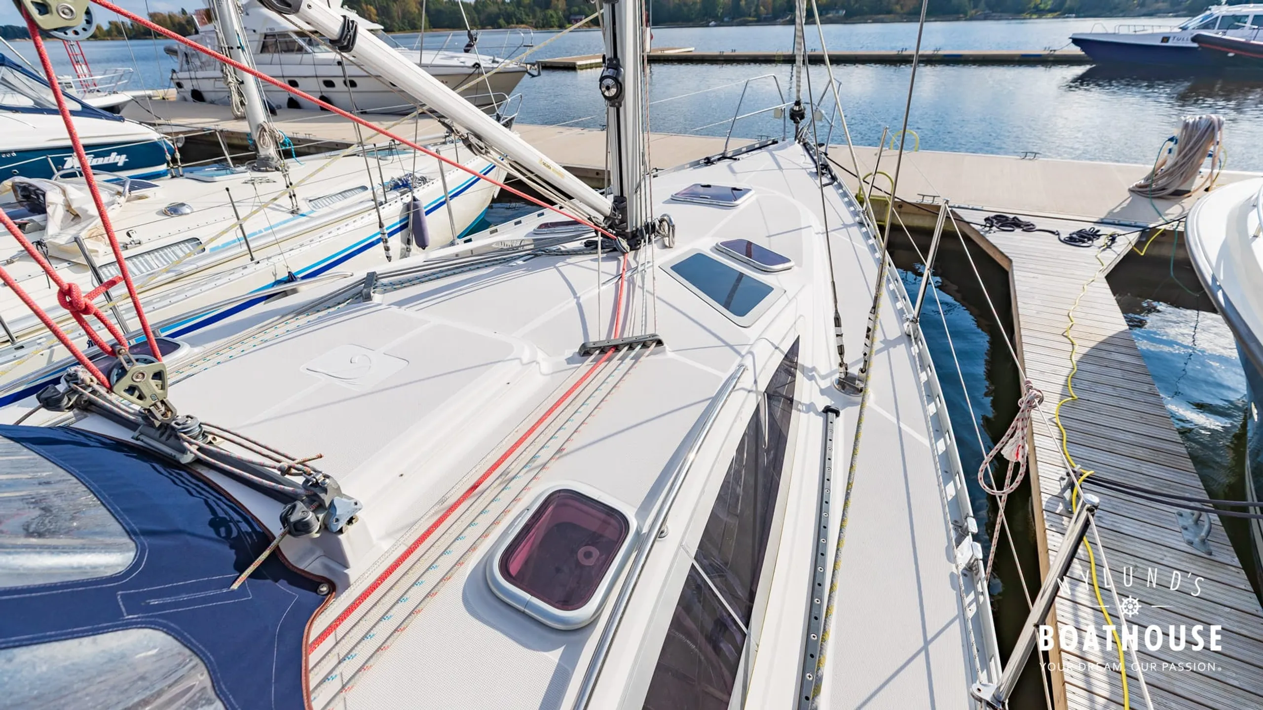 Delphia D37 - Image 86