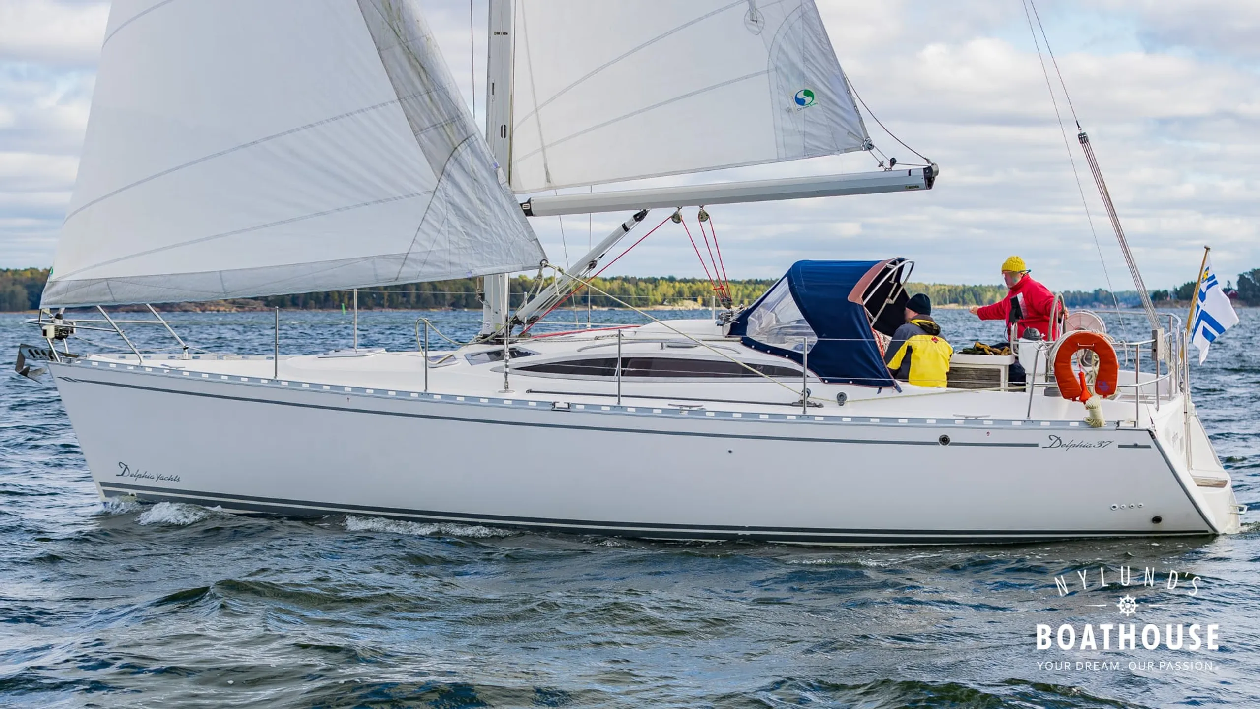 Delphia D37 - Image 7