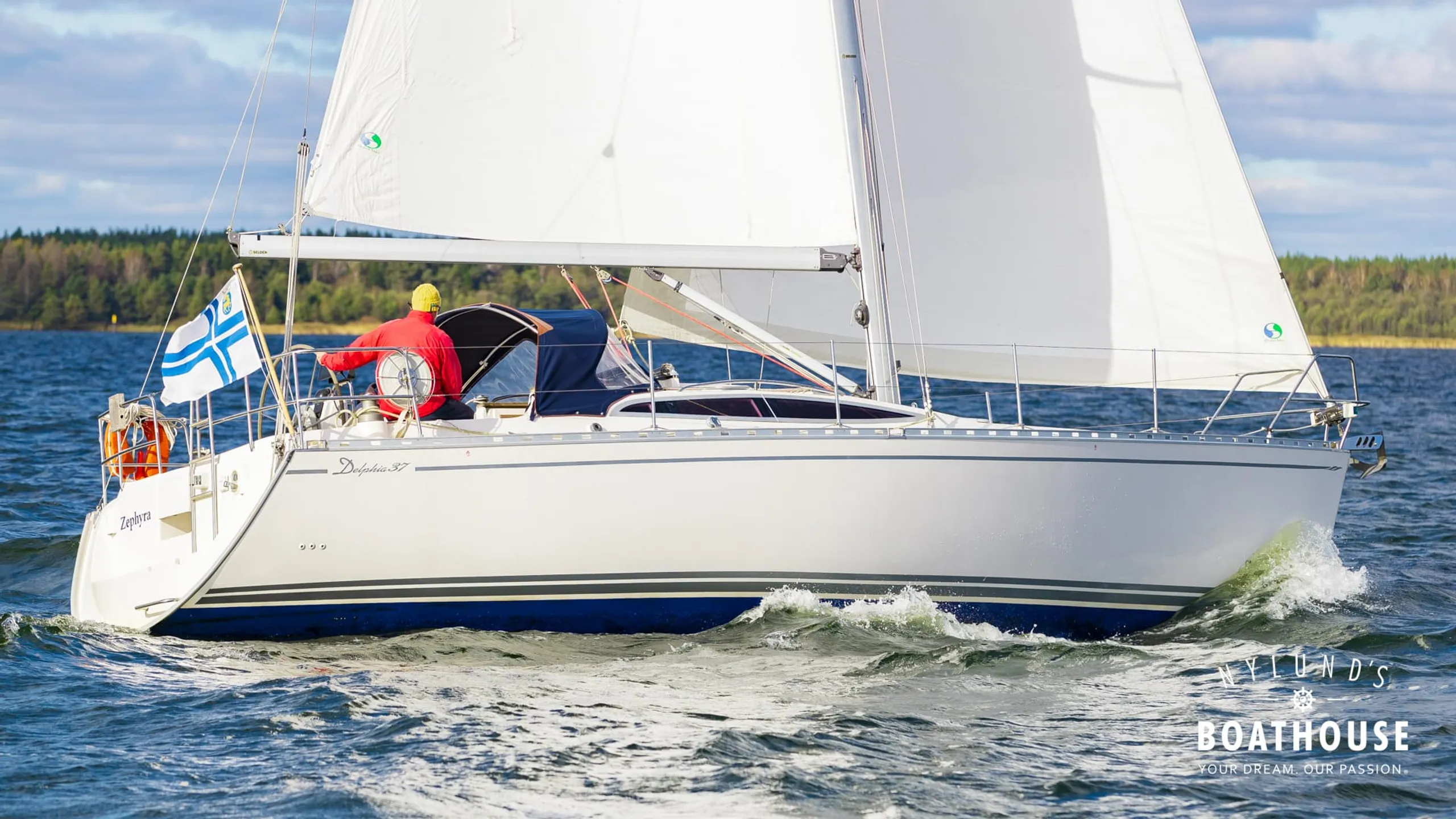 Delphia D37 - Image 8