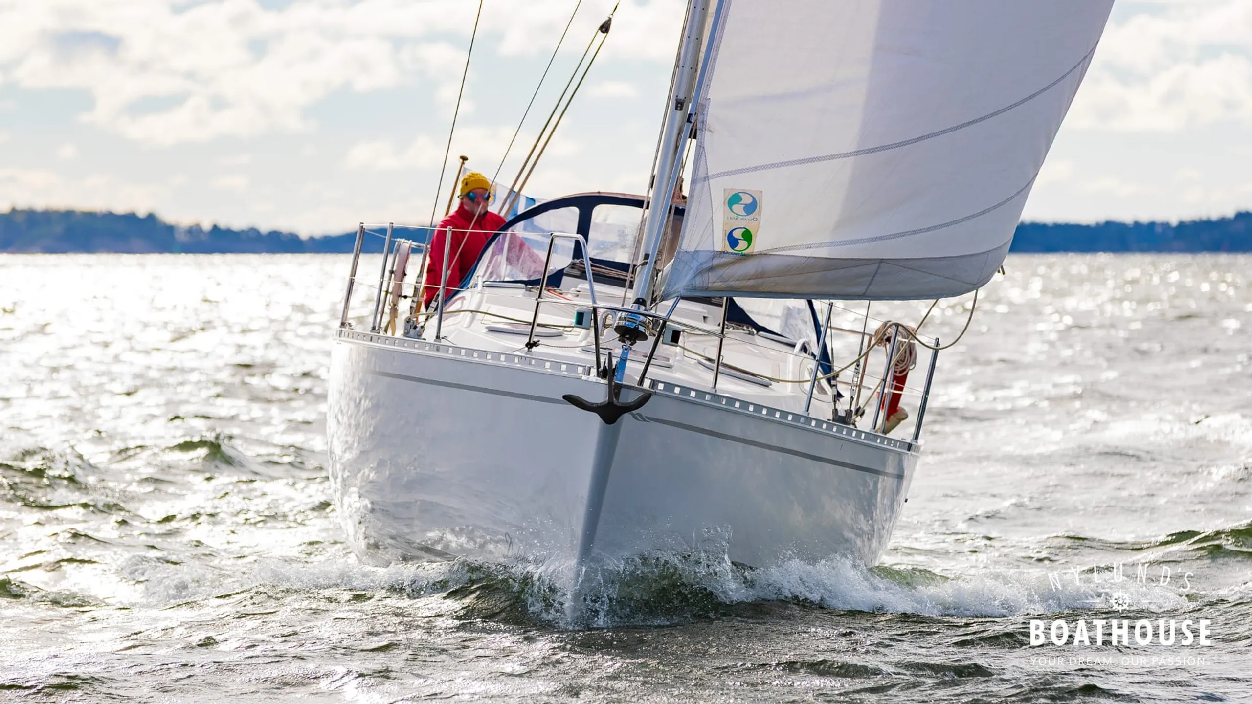 Delphia D37 - Image 37
