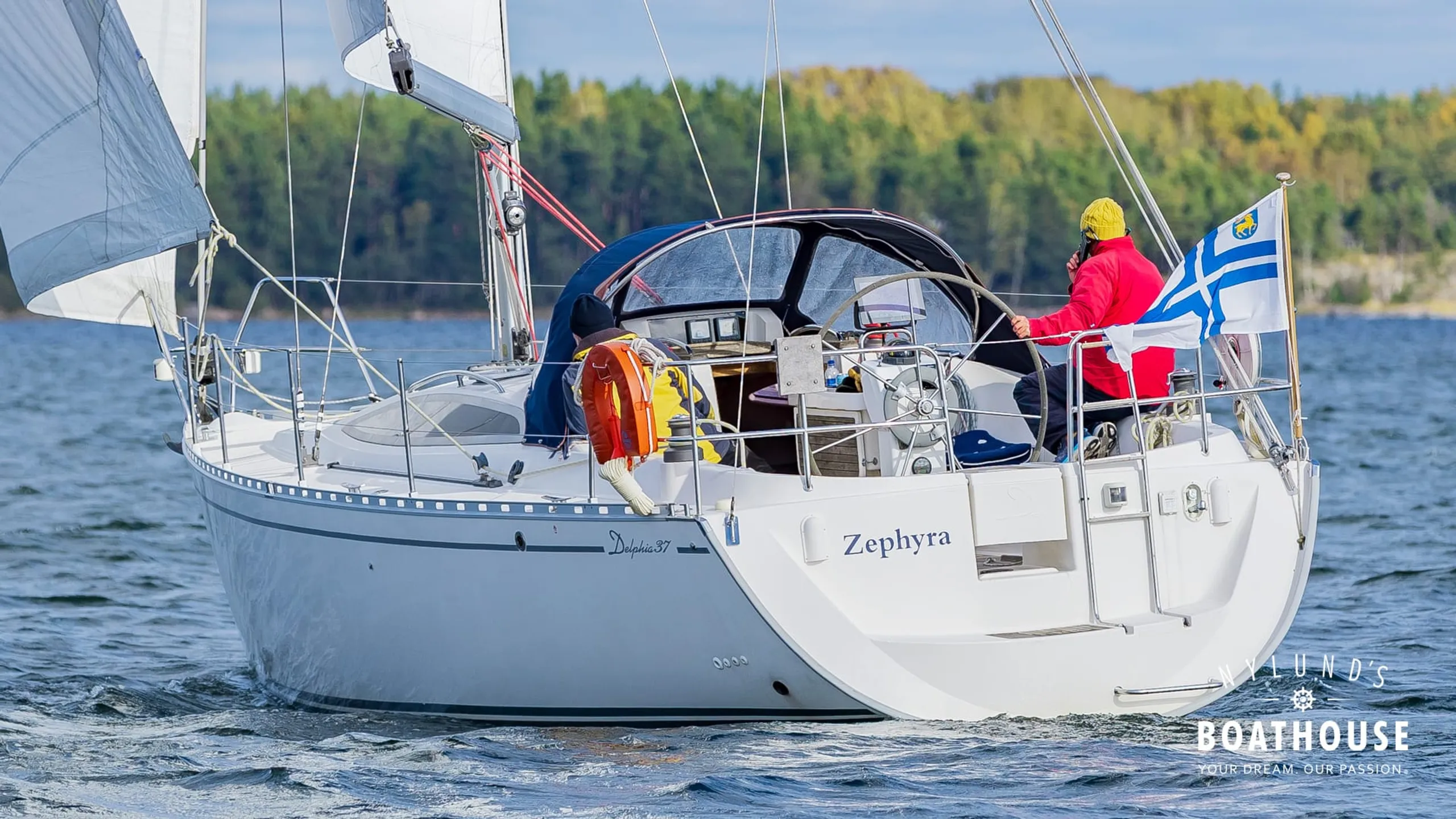 Delphia D37 - Image 11