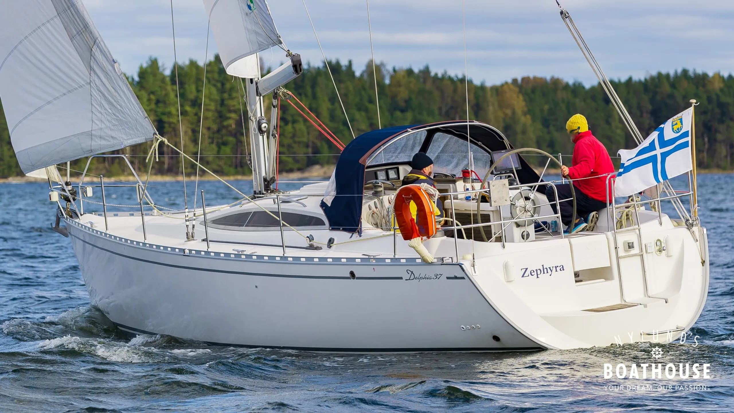 Delphia D37 - Image 33