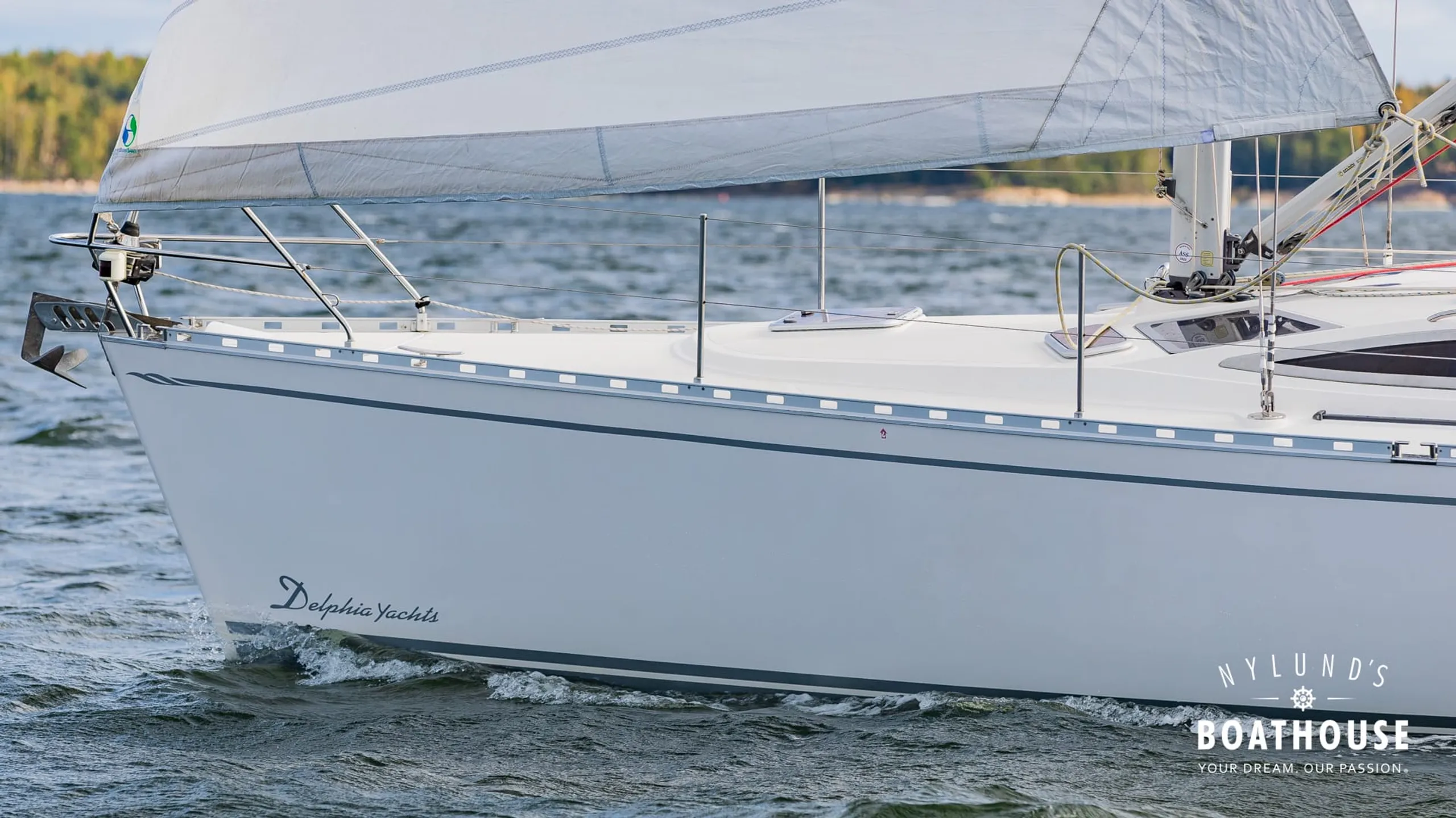 Delphia D37 - Image 19