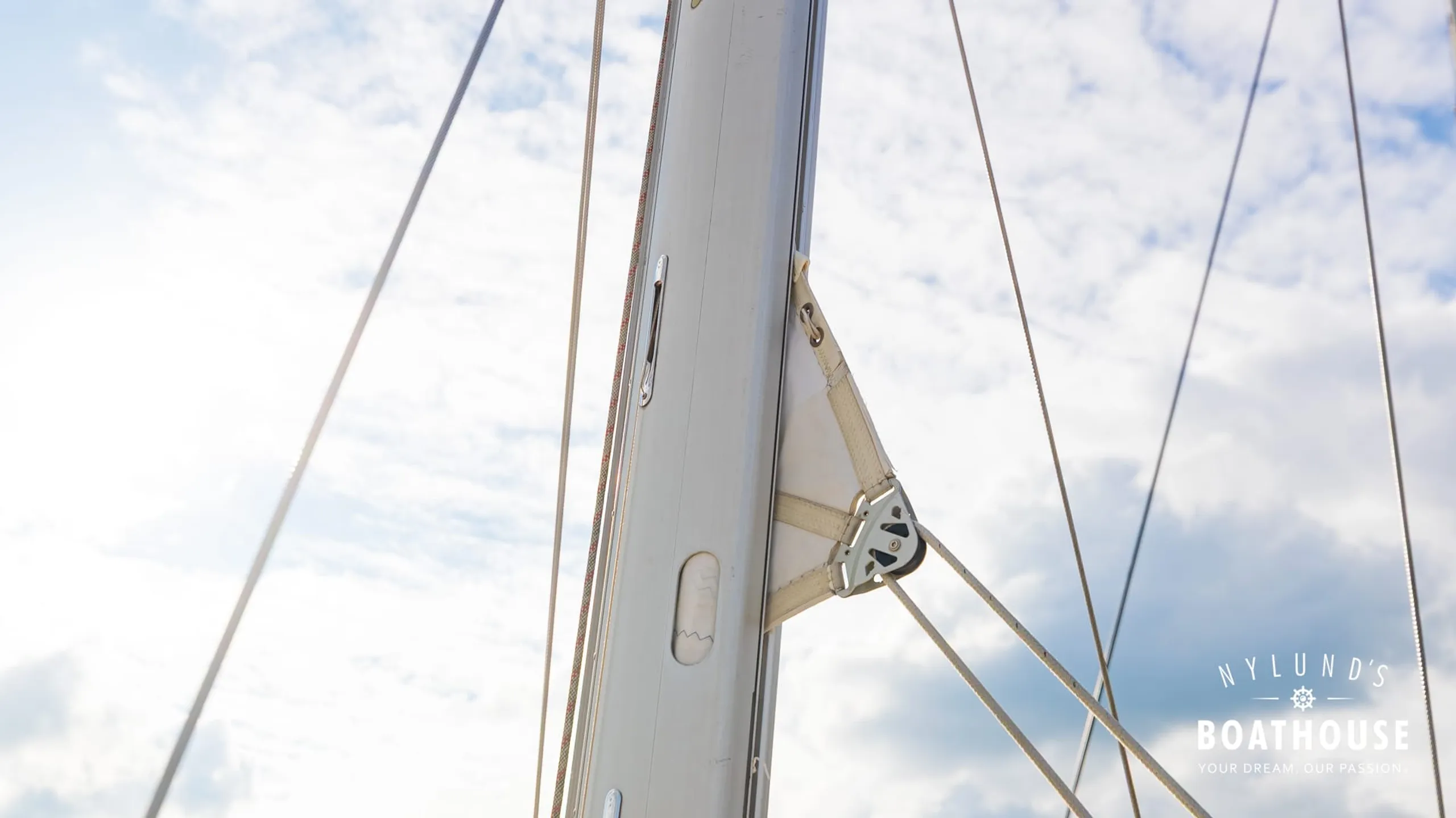 Delphia D37 - Image 96