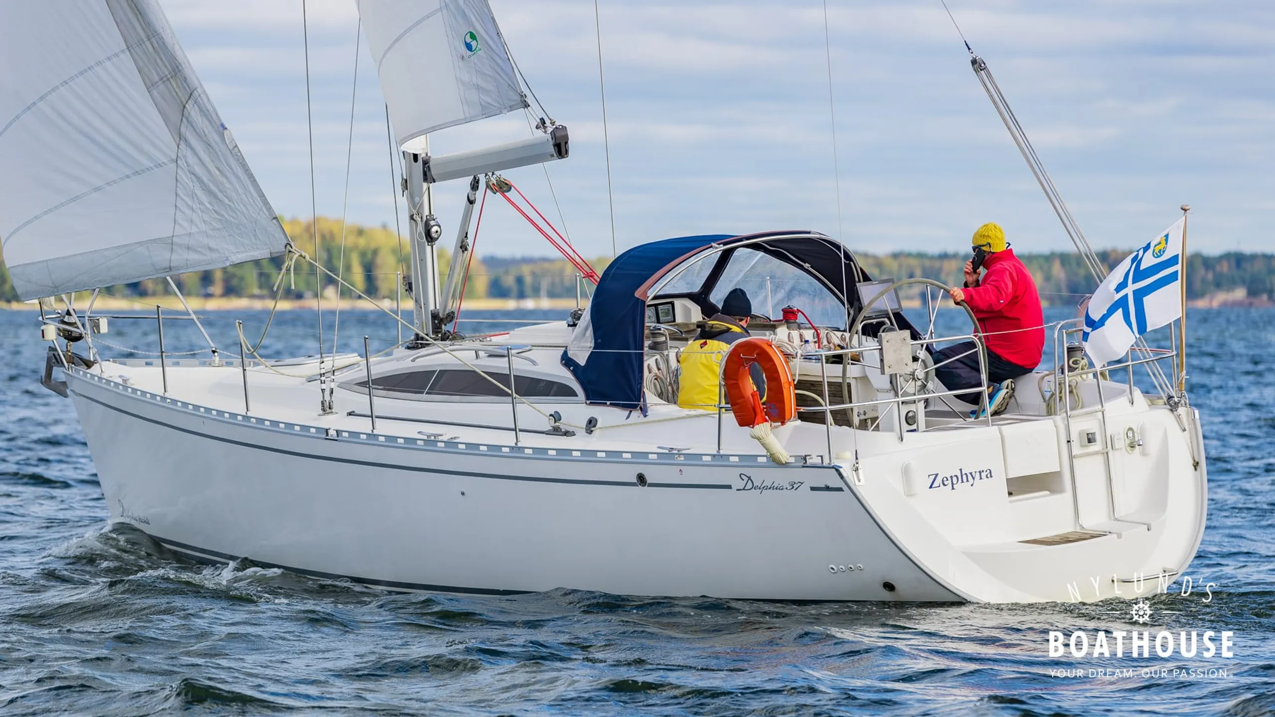 Delphia D37 - Image 5