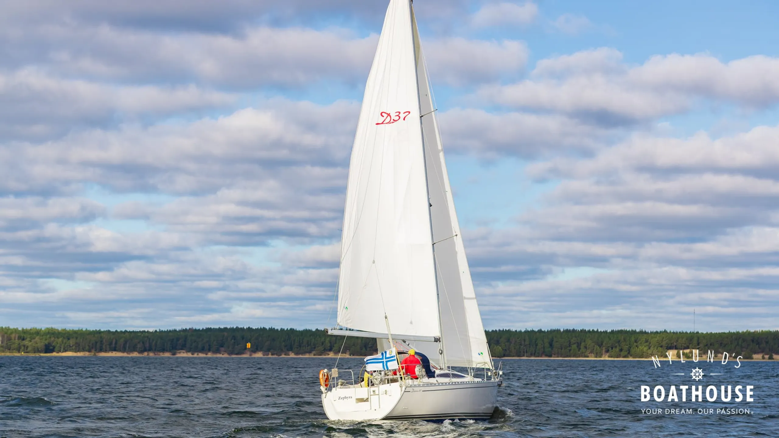 Delphia D37 - Image 29