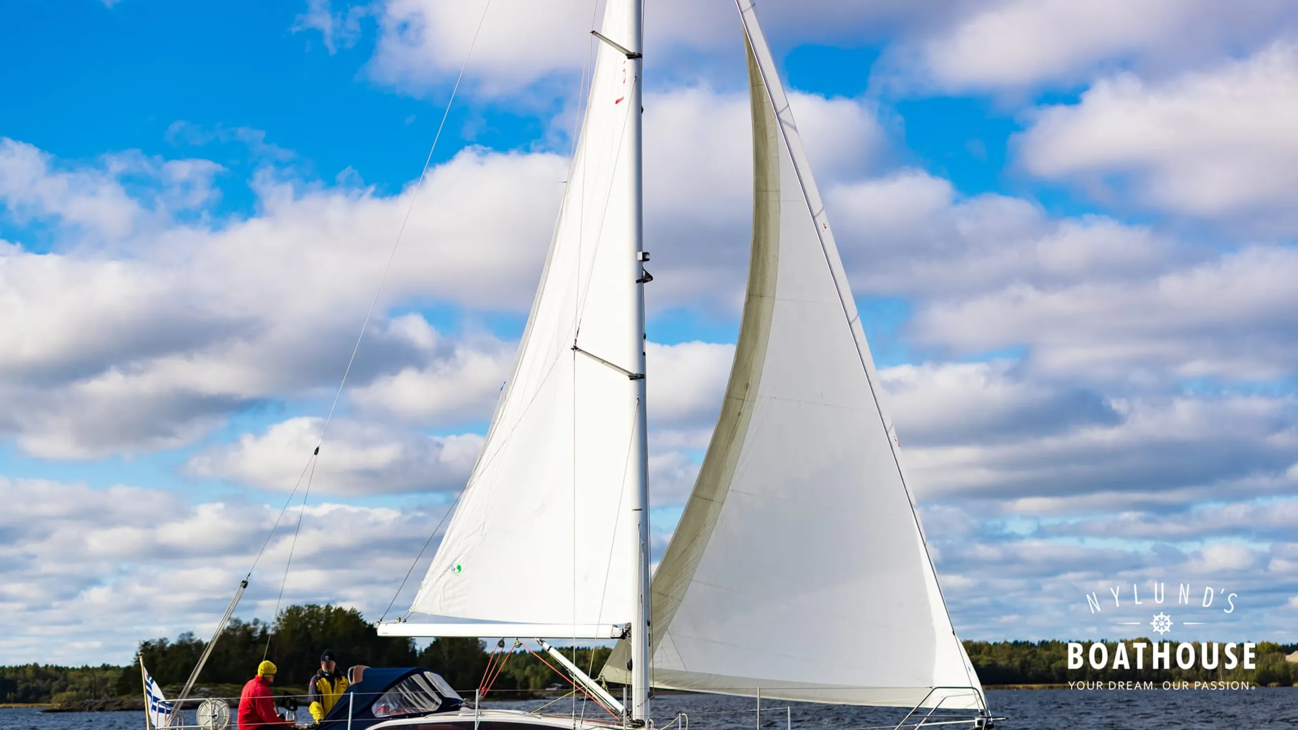 Delphia D37 - Image 13