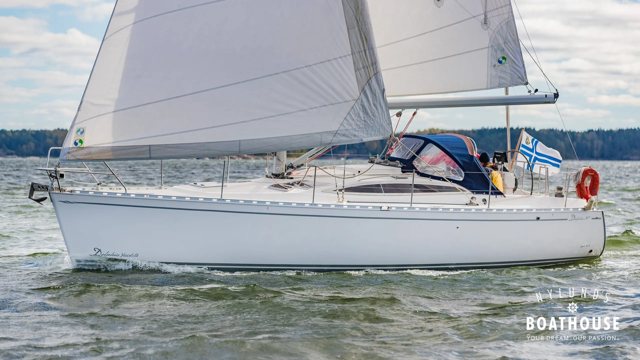Delphia D37 - Image 12