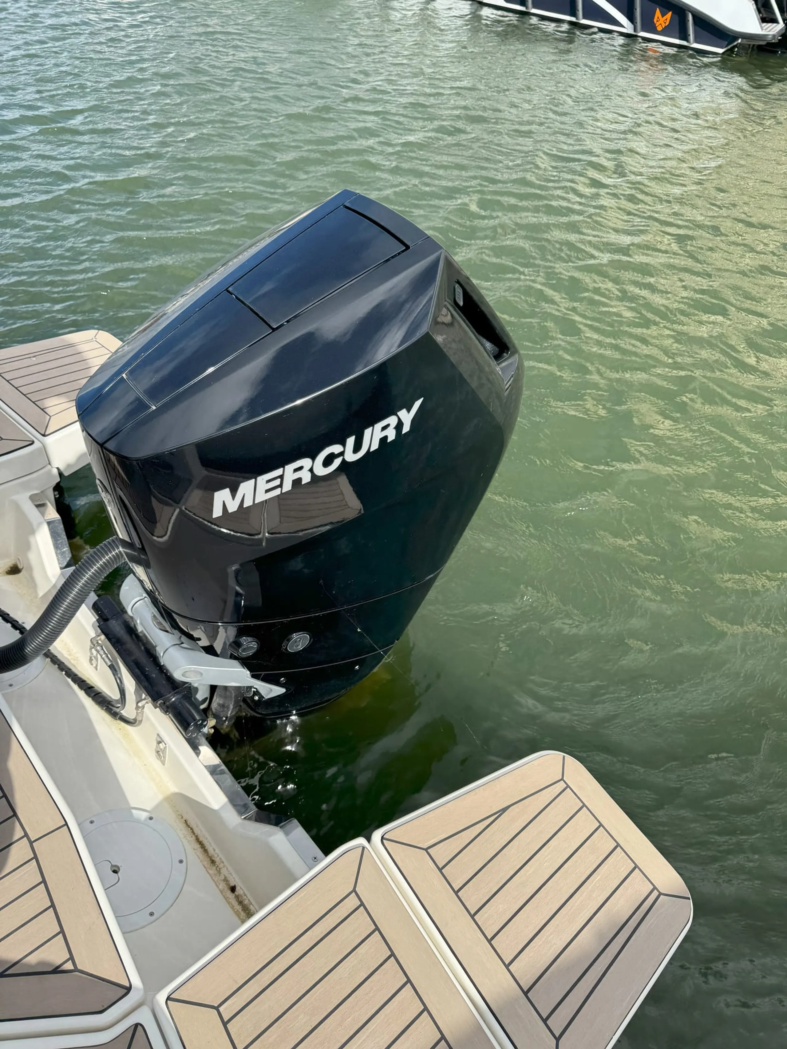 Quicksilver Activ 805 cruiser - Image 3