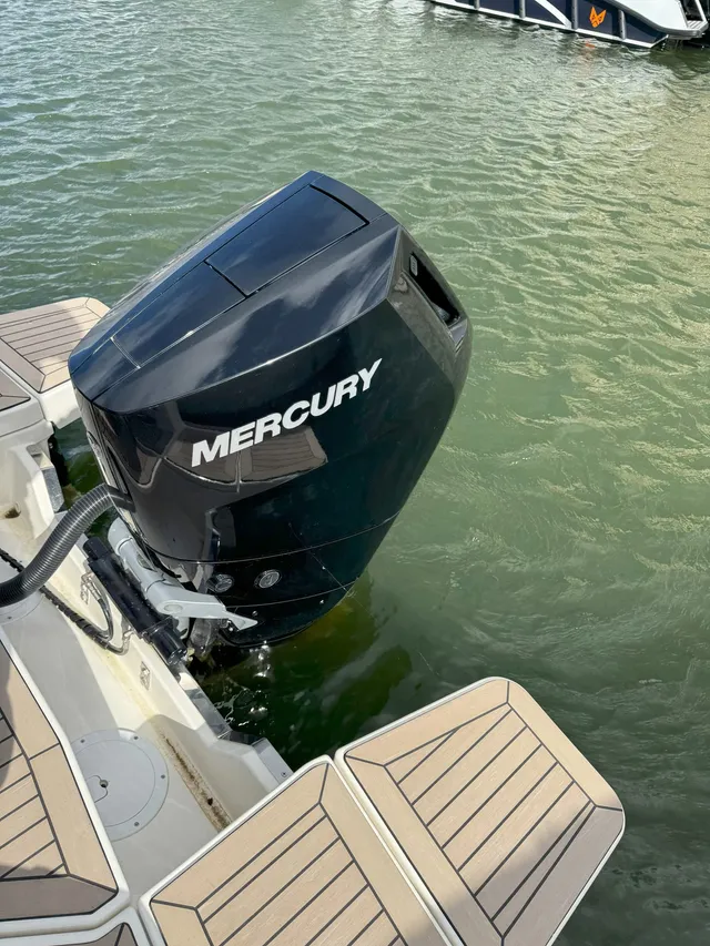 Quicksilver  Activ 805 cruiser - Image 3