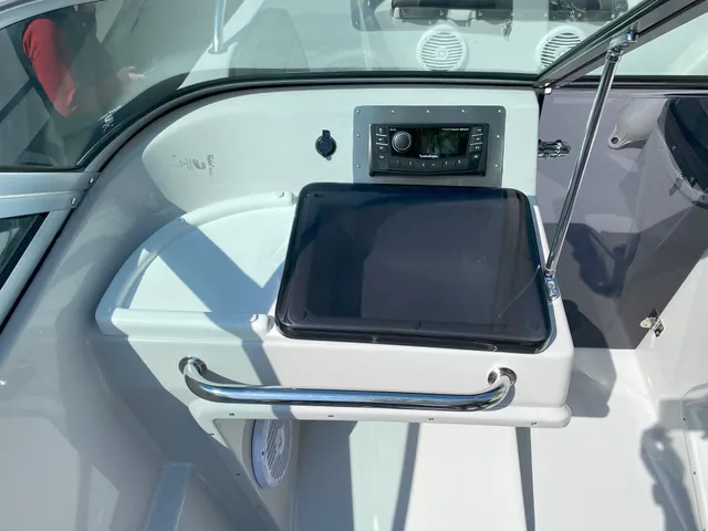 Silver  650 Eagle - Image 11