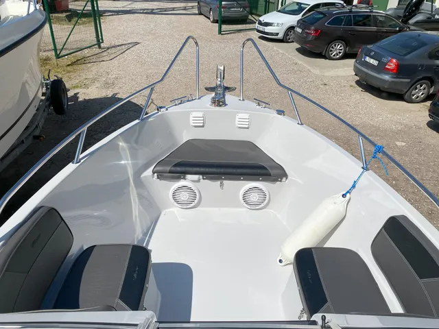 Silver  650 Eagle - Image 6