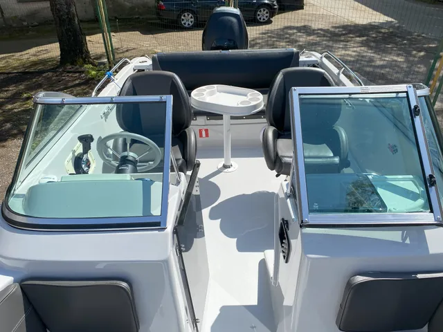 Silver  650 Eagle - Image 8