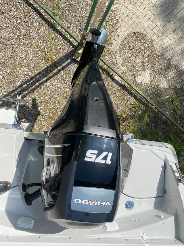 Silver  650 Eagle - Image 12