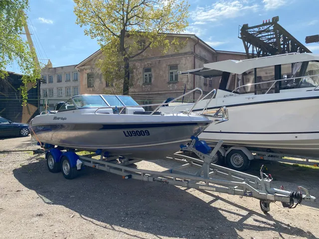 Silver  650 Eagle - Image 1