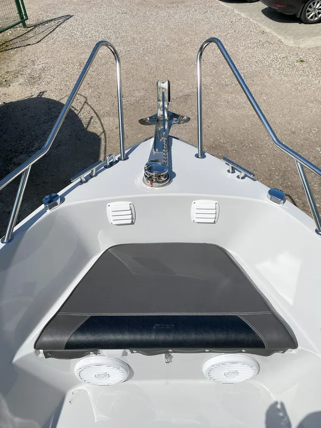 Silver  650 Eagle - Image 5