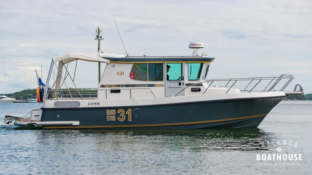 Nord Star 31