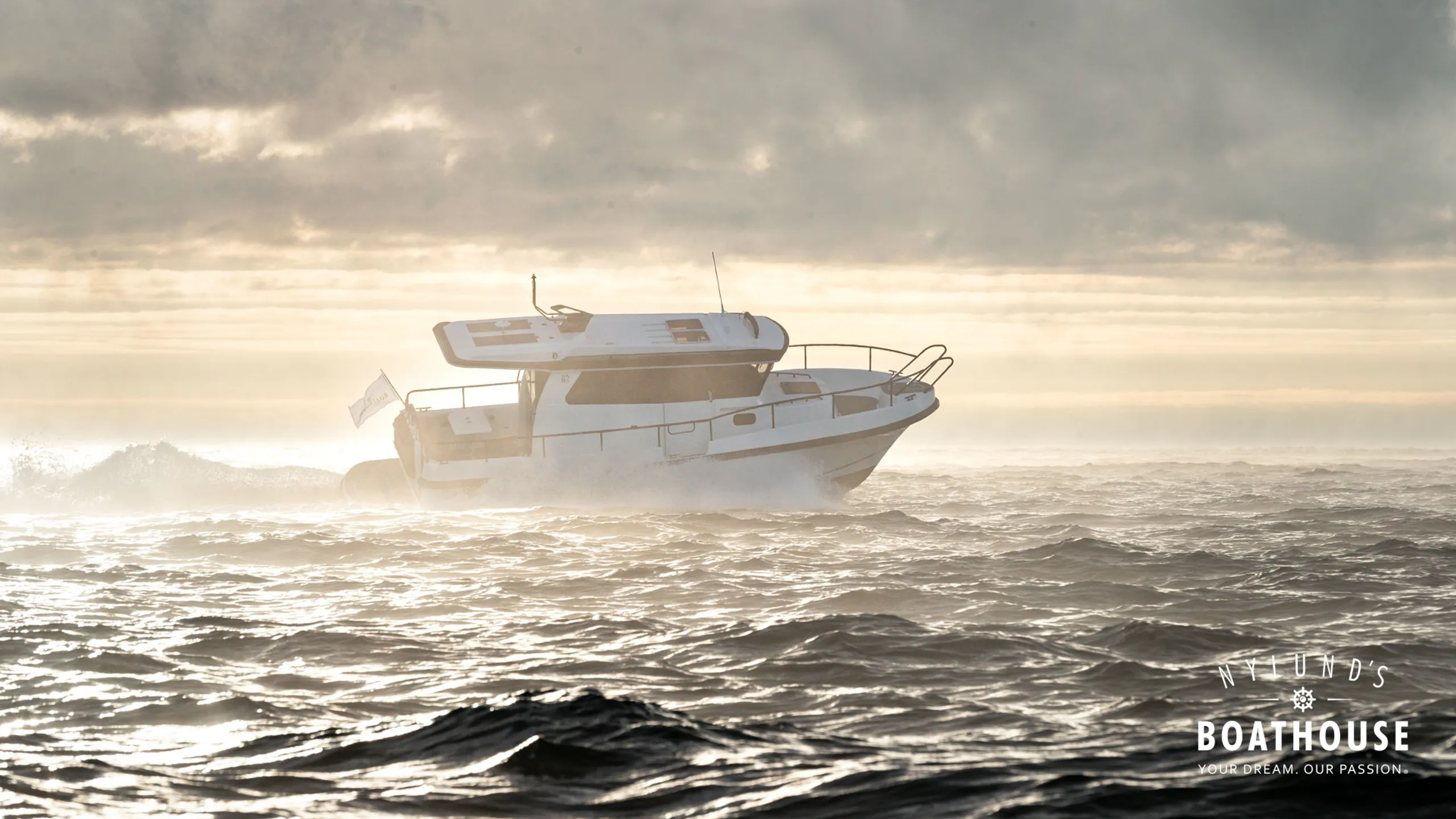Nord Star 31+ - Image 8