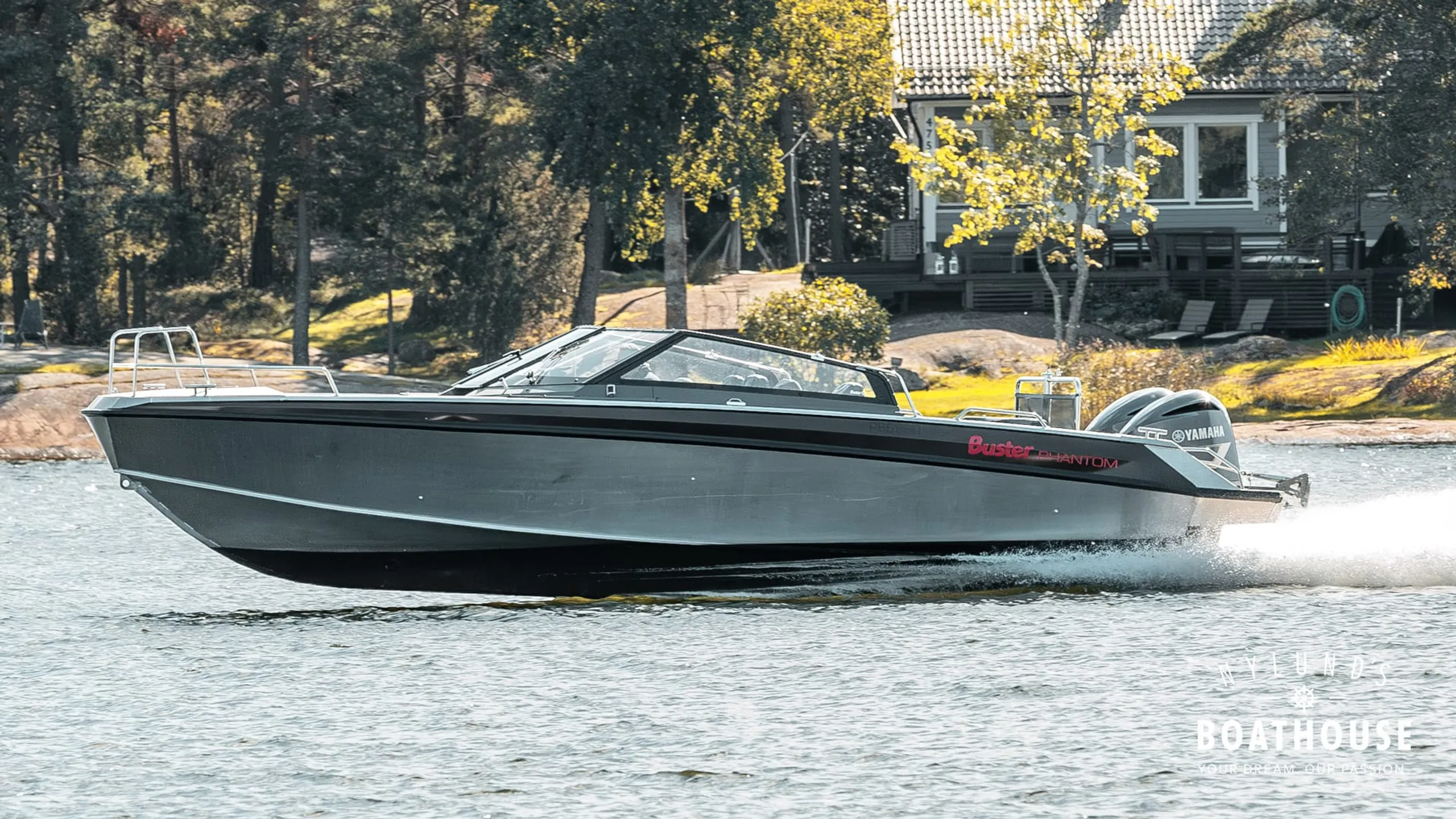 Buster Phantom - Image 1